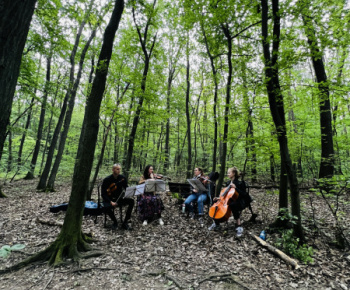 Kultúrno-spoločenské a športové aktivity / Očarujúce podujatie Hudba v lese - foto