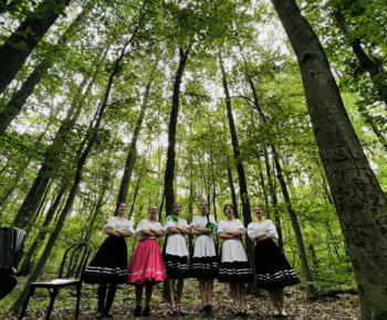 Kultúrno-spoločenské a športové aktivity / Očarujúce podujatie Hudba v lese - foto
