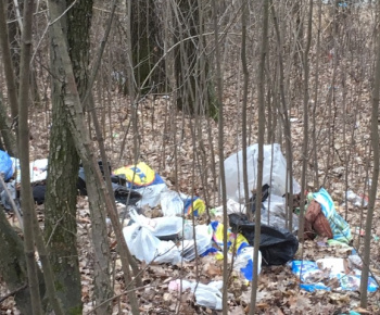 Aktuality / Jarné upratovanie zmenilo niektoré lokality na Furči na nepoznanie - foto