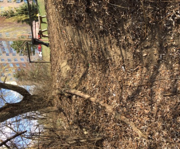 Aktuality / Jarné upratovanie zmenilo niektoré lokality na Furči na nepoznanie - foto