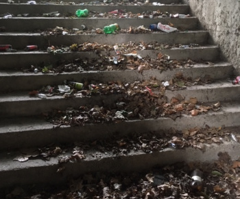 Aktuality / Júlové upratovanie sídliska aktivačnými pracovníkmi - foto Aktuality / Júlové upratovanie sídliska aktivačnými pracovníkmi - foto