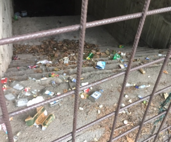 Aktuality / Júlové upratovanie sídliska aktivačnými pracovníkmi - foto