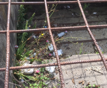 Aktuality / Júlové upratovanie sídliska aktivačnými pracovníkmi - foto Aktuality / Júlové upratovanie sídliska aktivačnými pracovníkmi - foto