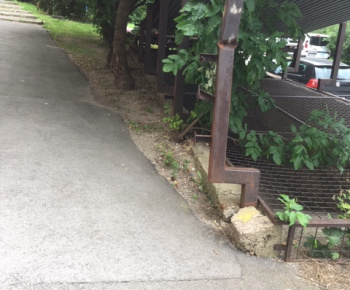 Aktuality / Júlové upratovanie sídliska aktivačnými pracovníkmi - foto