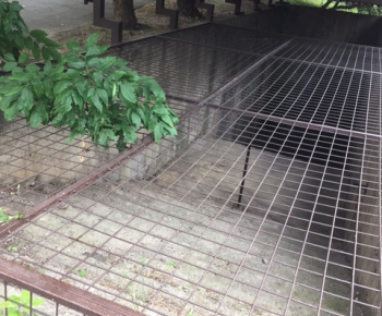 Aktuality / Júlové upratovanie sídliska aktivačnými pracovníkmi - foto Aktuality / Júlové upratovanie sídliska aktivačnými pracovníkmi - foto