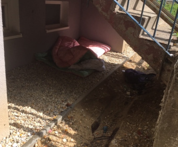 Aktuality / Júlové upratovanie sídliska aktivačnými pracovníkmi - foto Aktuality / Júlové upratovanie sídliska aktivačnými pracovníkmi - foto