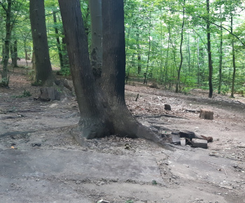 Aktuality / Júlové upratovanie sídliska aktivačnými pracovníkmi - foto
