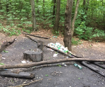 Aktuality / Júlové upratovanie sídliska aktivačnými pracovníkmi - foto Aktuality / Júlové upratovanie sídliska aktivačnými pracovníkmi - foto