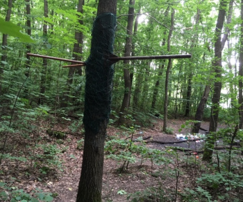 Aktuality / Júlové upratovanie sídliska aktivačnými pracovníkmi - foto Aktuality / Júlové upratovanie sídliska aktivačnými pracovníkmi - foto