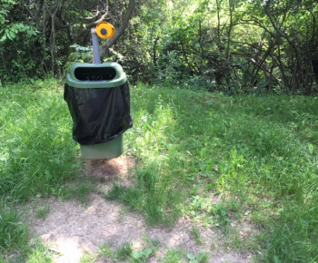 Aktuality / Júlové upratovanie sídliska aktivačnými pracovníkmi - foto Aktuality / Júlové upratovanie sídliska aktivačnými pracovníkmi - foto