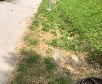 Aktuality / Júlové upratovanie sídliska aktivačnými pracovníkmi - foto Aktuality / Júlové upratovanie sídliska aktivačnými pracovníkmi - foto