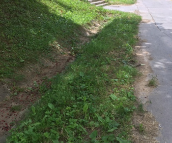 Aktuality / Júlové upratovanie sídliska aktivačnými pracovníkmi - foto Aktuality / Júlové upratovanie sídliska aktivačnými pracovníkmi - foto