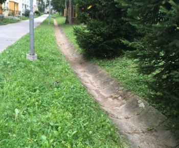 Aktuality / Júlové upratovanie sídliska aktivačnými pracovníkmi - foto Aktuality / Júlové upratovanie sídliska aktivačnými pracovníkmi - foto