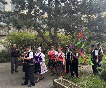 Aktuality / Mestská časť Košice-Dargovských hrdinov sa zapojila do viacerých aktivít počas osláv Dňa mesta Košice  - foto