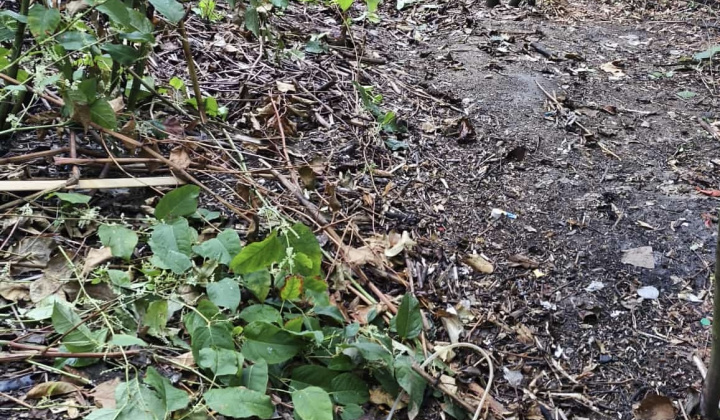 5. fotografia fotogalérie Aktuality / Ďalšie zlikvidované nelegálne miesto na Furči - foto