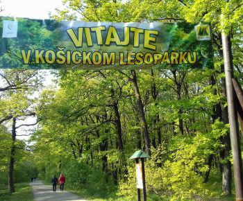 Aktuality / Projekt FOR SOC – lesy pre spoločnosť – lesy bez bariér - foto