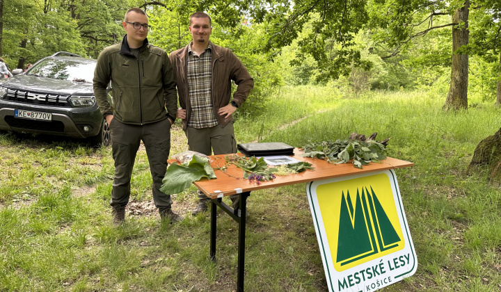 2. fotografia fotogalérie Aktuality /  Lesopark plný detí, smiechu a nových znalostí - foto