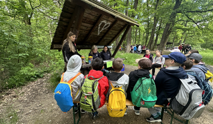 9. fotografia fotogalérie Aktuality /  Lesopark plný detí, smiechu a nových znalostí - foto