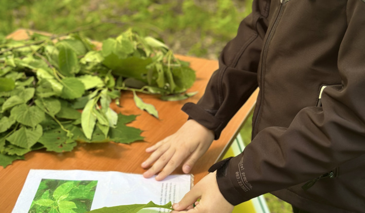 17. fotografia fotogalérie Aktuality /  Lesopark plný detí, smiechu a nových znalostí - foto
