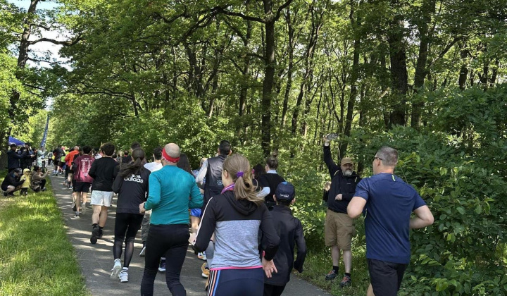 8. fotografia fotogalérie Aktuality / nový článok - foto