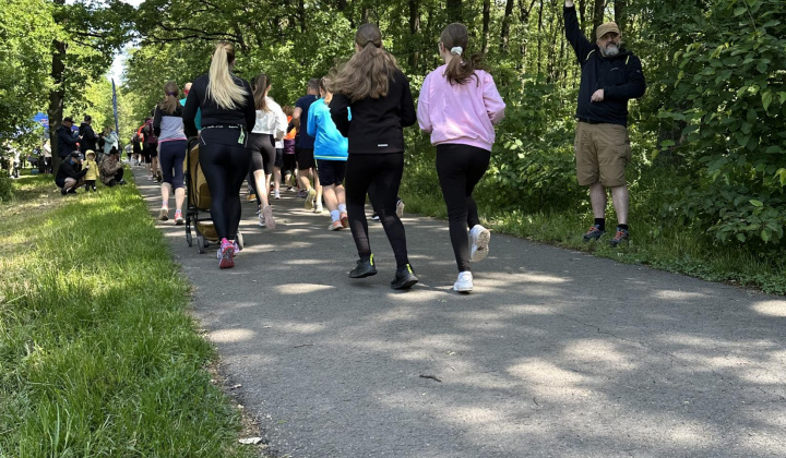 10. fotografia fotogalérie Aktuality / nový článok - foto