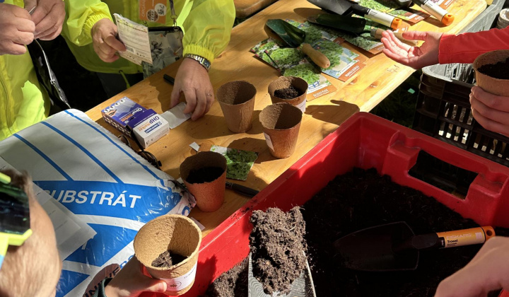 13. fotografia fotogalérie Aktuality / nový článok - foto