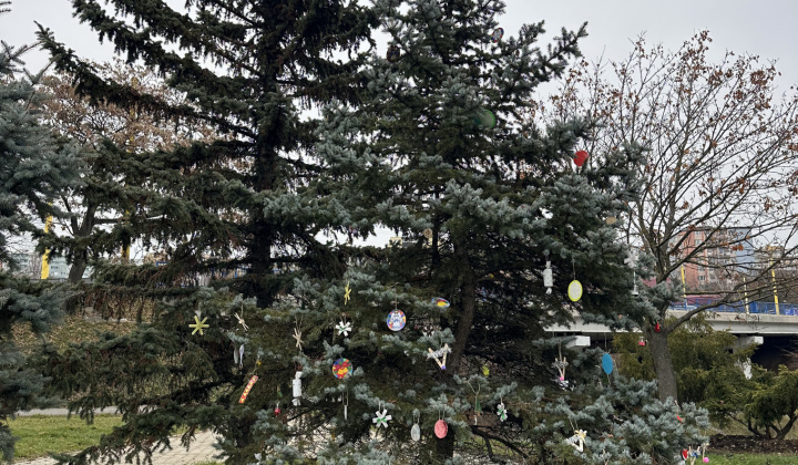 4. fotografia fotogalérie Aktuality / V parku pri fontáne sme si užili Furčianske Vianoce - foto