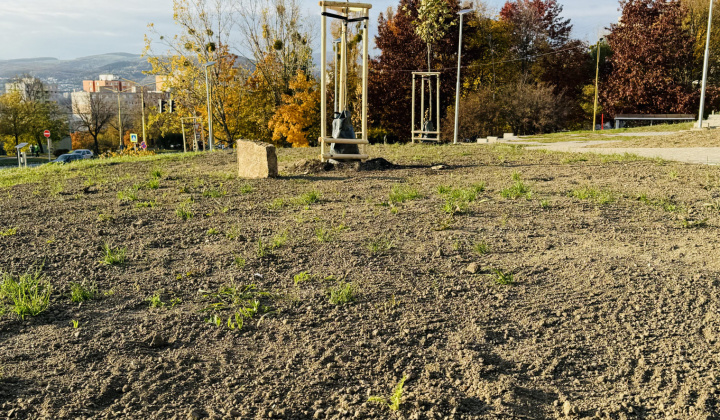 1. fotografia fotogalérie Aktuality / Revitalizácia zelene prináša zelenší a krajší park - foto