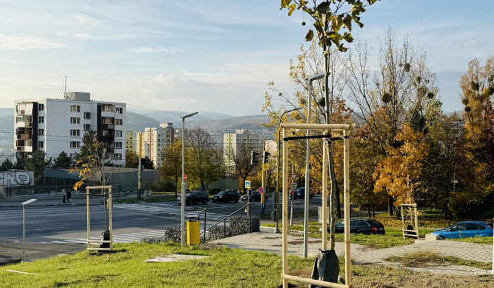 3. fotografia fotogalérie Aktuality / Revitalizácia zelene prináša zelenší a krajší park - foto
