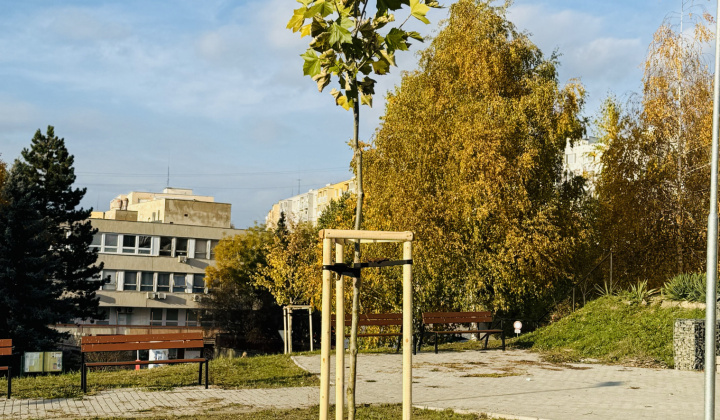 4. fotografia fotogalérie Aktuality / Revitalizácia zelene prináša zelenší a krajší park - foto