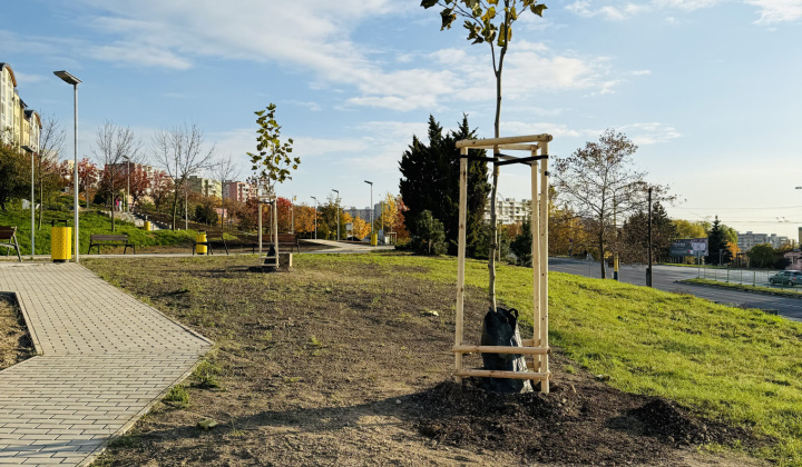 6. fotografia fotogalérie Aktuality / Revitalizácia zelene prináša zelenší a krajší park - foto