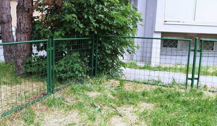 5. fotografia fotogalérie Aktuality / Psychosociálne centrum pomáha skrášľovať naše sídlisko - foto