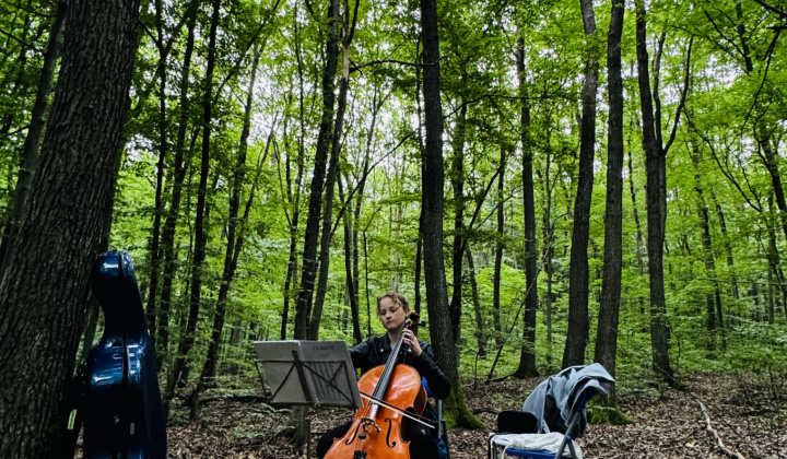 1. fotografia fotogalérie Aktuality / Lesopark sa rozohral 5. ročníkom Hudby v lese - foto