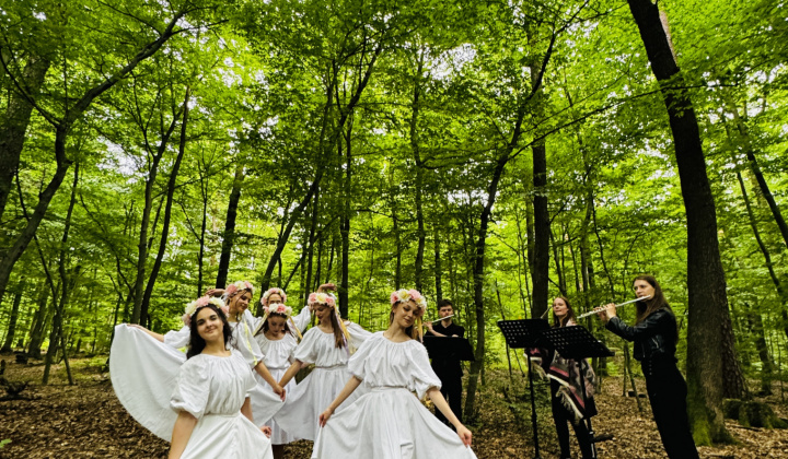 11. fotografia fotogalérie Aktuality / Lesopark sa rozohral 5. ročníkom Hudby v lese - foto