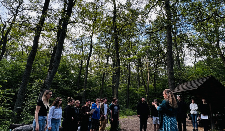 6. fotografia fotogalérie Aktuality / Očarujúce podujatie Hudba v lese - foto