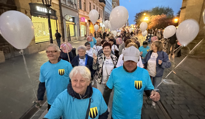 17. fotografia fotogalérie Aktuality / Mestská časť Košice-Dargovských hrdinov sa zapojila do viacerých aktivít počas osláv Dňa mesta Košice  - foto