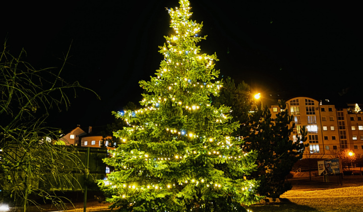 13. fotografia fotogalérie Kultúrno-spoločenské a športové aktivity / V parku pri fontáne sme si užili Novoročný koncert - foto