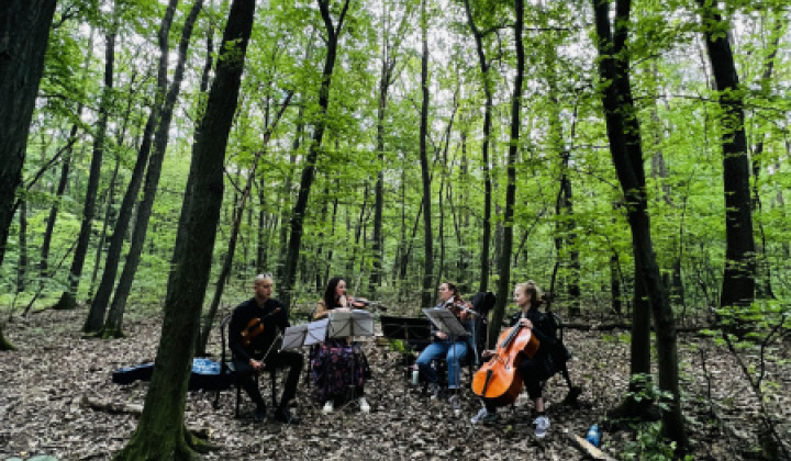 2. fotografia fotogalérie Kultúrno-spoločenské a športové aktivity / Očarujúce podujatie Hudba v lese - foto