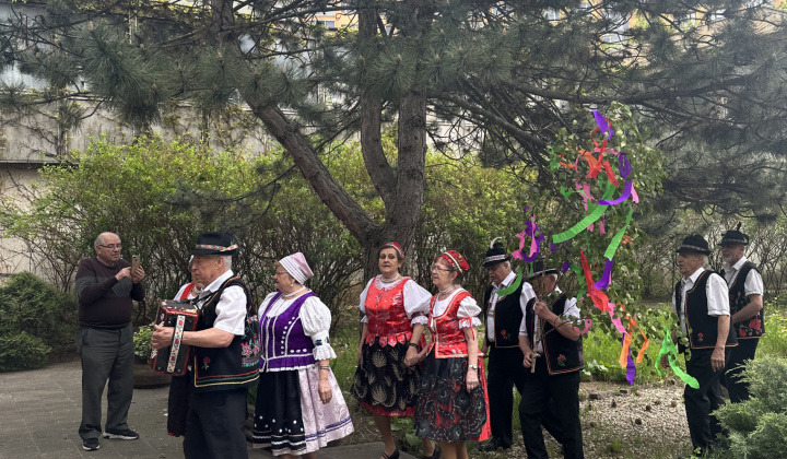 8. fotografia fotogalérie Kultúrno-spoločenské a športové aktivity / Mestská časť Košice-Dargovských hrdinov sa zapojila do viacerých aktivít počas osláv Dňa mesta Košice  - foto