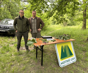 Aktuality /  Lesopark plný detí, smiechu a nových znalostí - foto
