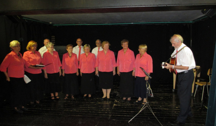 9. fotografia fotogalérie Kultúrno-spoločenské a športové aktivity / Prehliadka mestskej časti Dargovských hrdinov - foto