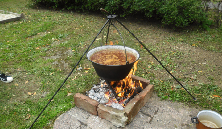 5. fotografia fotogalérie Denné centrum / Denné centrum - činnosť 2022 - foto