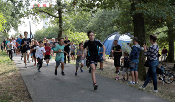 1. fotografia fotogalérie Lesopark