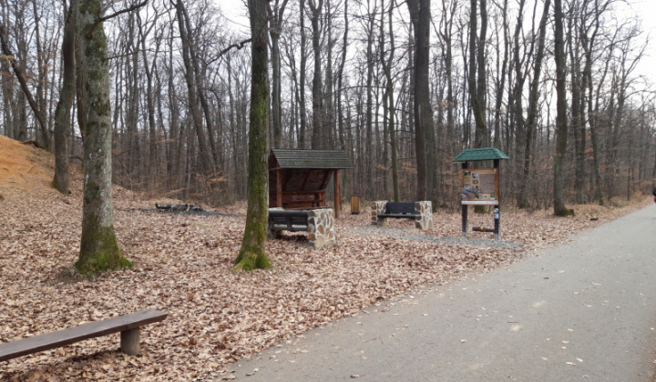 2. fotografia fotogalérie Lesopark