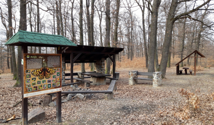 3. fotografia fotogalérie Lesopark