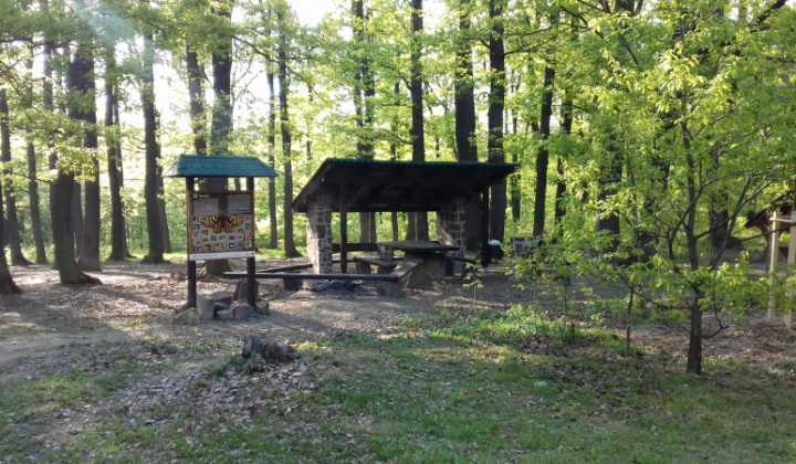 4. fotografia fotogalérie Lesopark