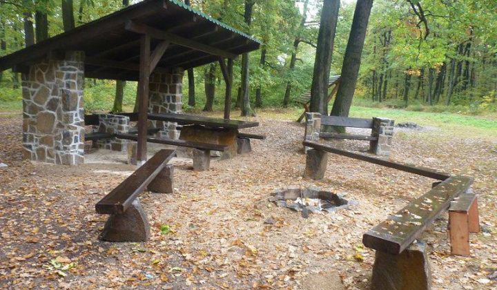 5. fotografia fotogalérie Lesopark