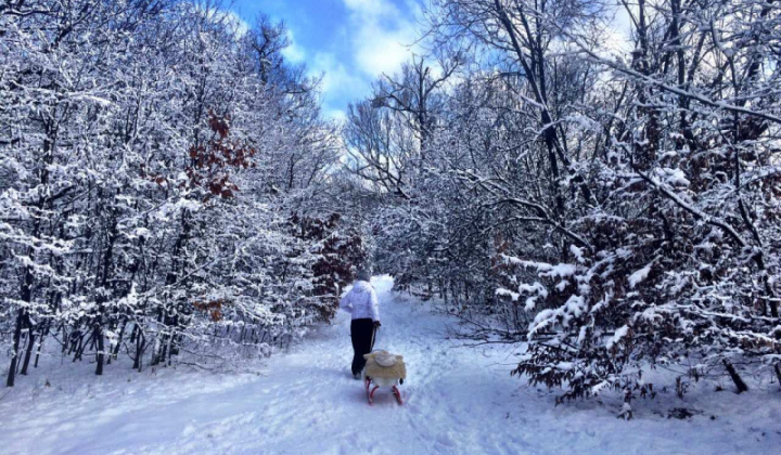 7. fotografia fotogalérie Lesopark