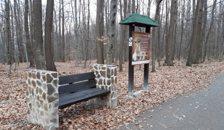 8. fotografia fotogalérie Lesopark