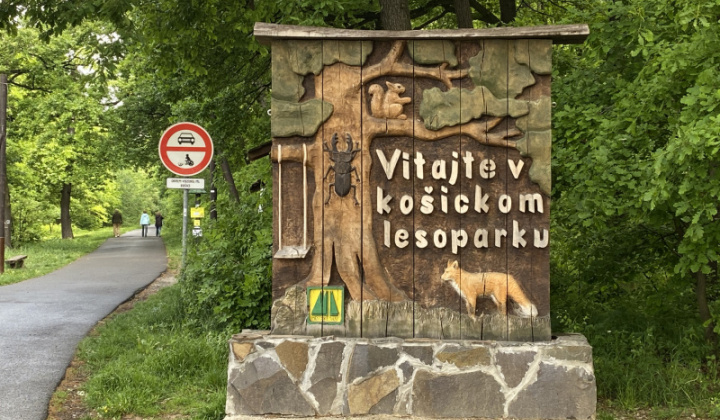 9. fotografia fotogalérie Lesopark